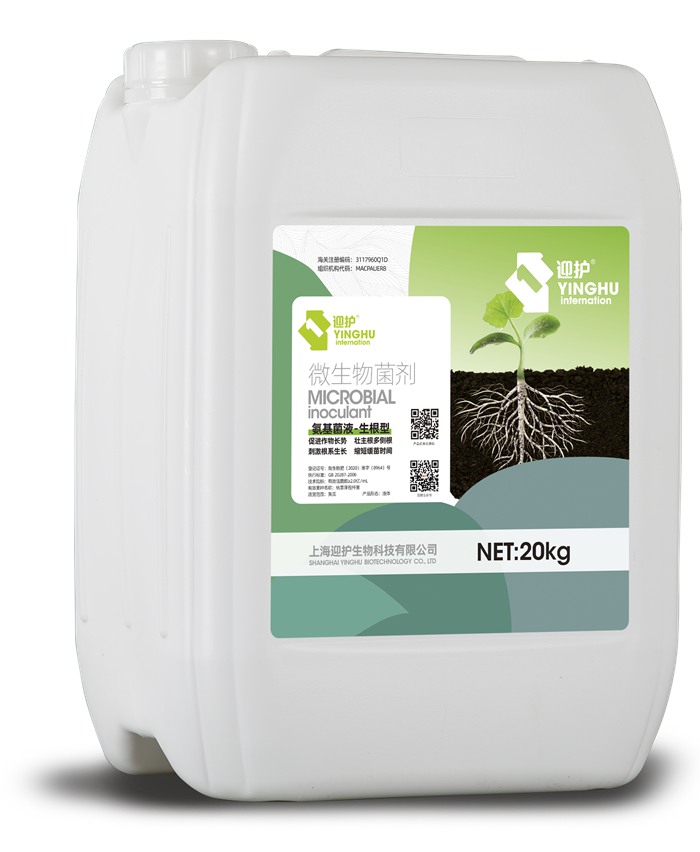 ������Һ-������