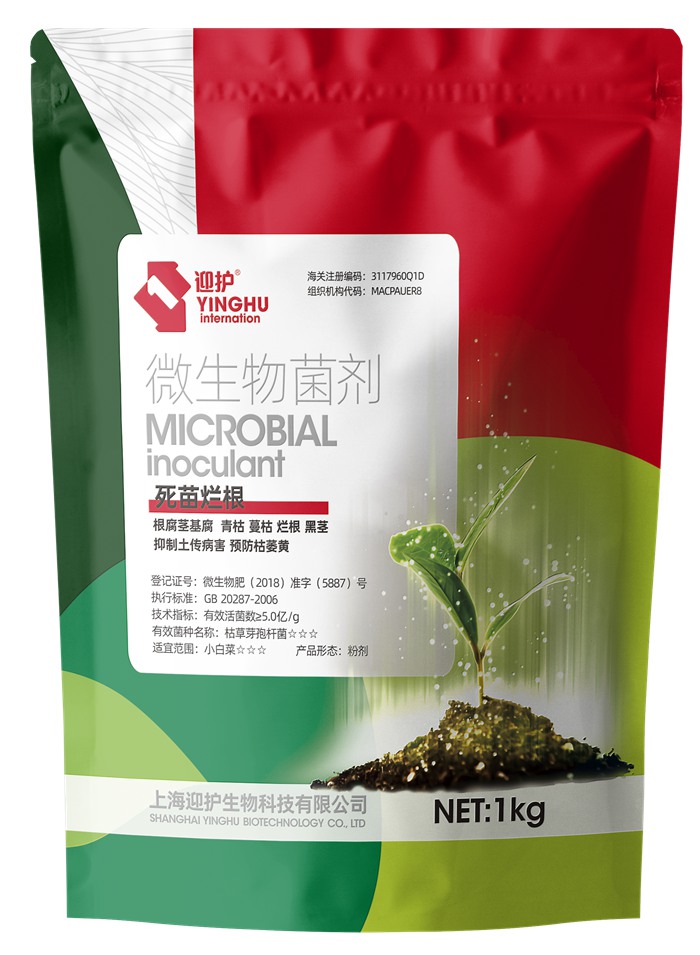 �����ø�